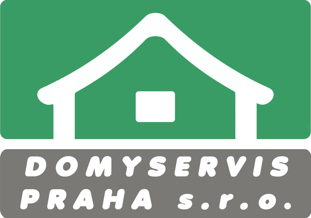 Logo DomyServis